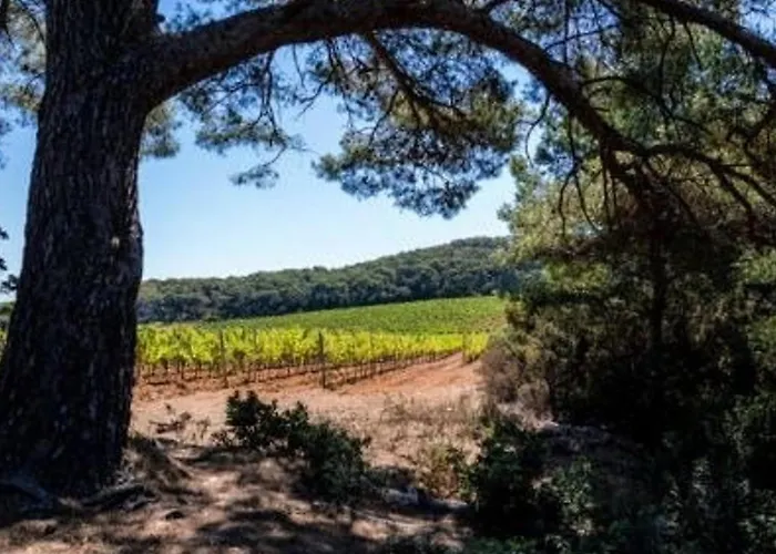 Duplex 6 Pers, 100m Plage, Terrasse Ensoleillee, Parking Prive, Proche Commerces - Fr-1-251-564