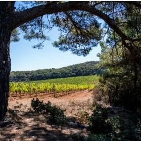 Duplex 6 Pers, 100m Plage, Terrasse Ensoleillee, Parking Prive, Proche Commerces - Fr-1-251-564