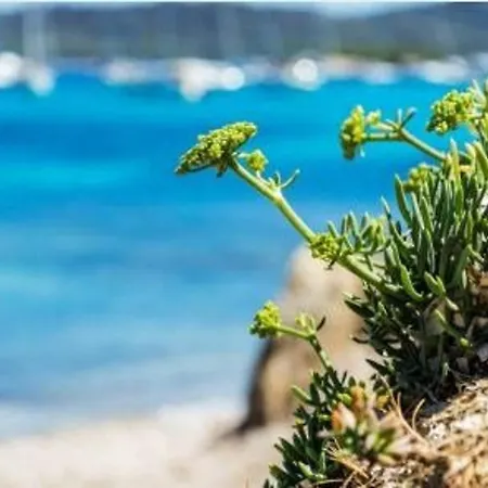 Duplex 6 Pers, 100m Plage, Terrasse Ensoleillee, Parking Prive, Proche Commerces - Fr-1-251-564 Apartament *