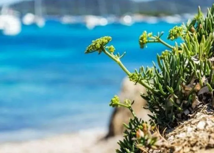 Duplex 6 Pers, 100m Plage, Terrasse Ensoleillee, Parking Prive, Proche Commerces - Fr-1-251-564 Apartment *